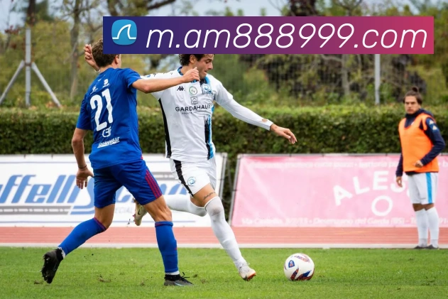 对战数据统计