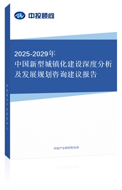 2025-2029йͳ򻯽ȷչ滮ѯ鱨