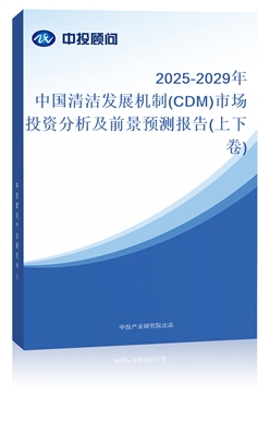2025-2029й෢չ(CDM)гͶʷǰԤⱨ(¾)