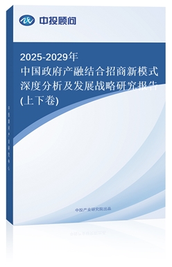 2025-2029йڽģʽȷչսо(¾)
