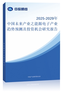2025-2029йδҵ֮ԴӲҵԤ⼰Ͷʻо