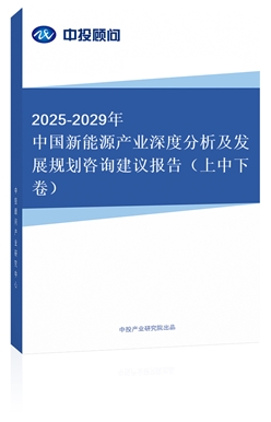 2019-2023йԴҵȷչ滮ѯ鱨