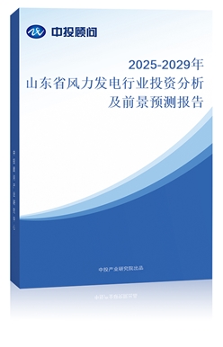 2025-2029ɽʡҵͶʷǰԤⱨ