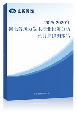2025-2029ӱʡҵͶʷǰԤⱨ